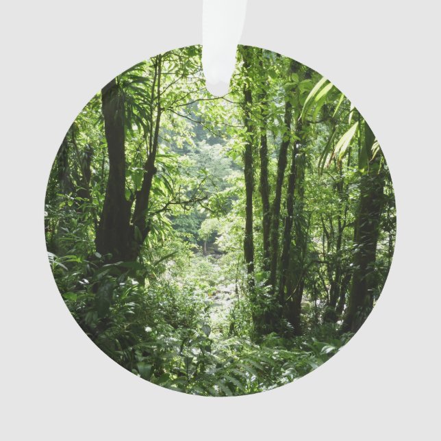 Ornamento Rain Forest II Tropical Verde (Frente)