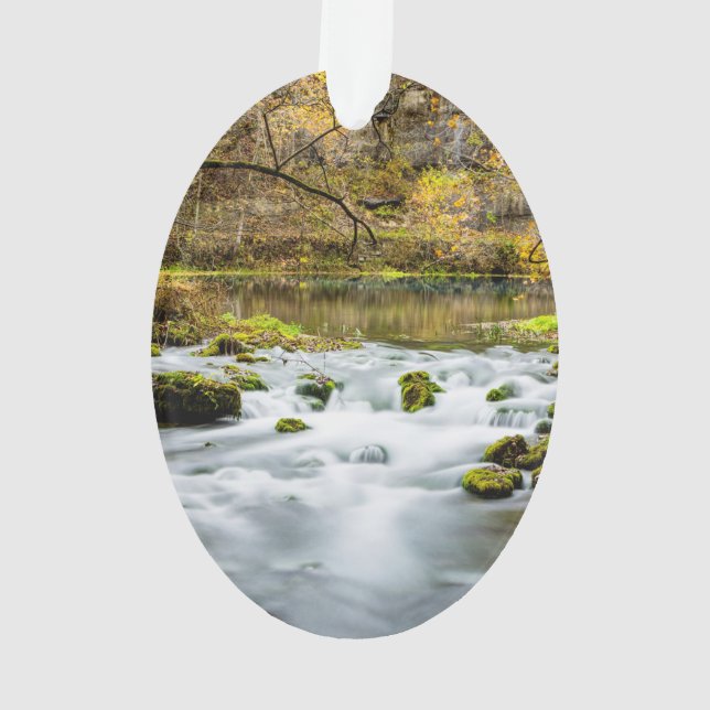 Ornamento Rapids de Primaveras becos (Verso)