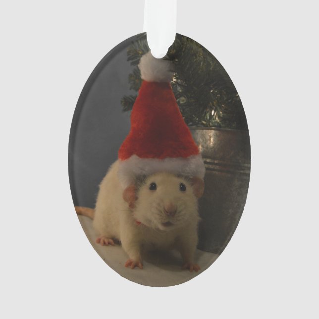 Ornamento Rato de Papai Noel Dumbo (Verso)