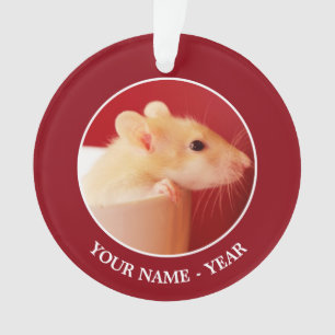 Ornamento Rato do bebê