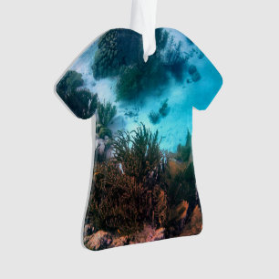 Ornamento Recife de Bonairean