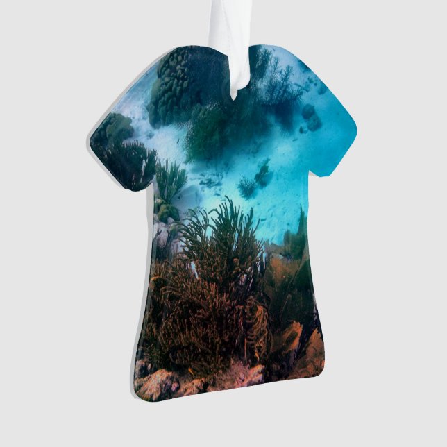 Ornamento Recife de Bonairean (Frente)