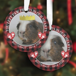 Ornamento Red Buffalo Check Paws Guiné Pig Memorial Foto