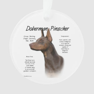 Ornamento Red Doberman Histórico