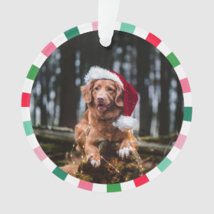Ornamento Red Green Starburst Strips Cachorro Natal
