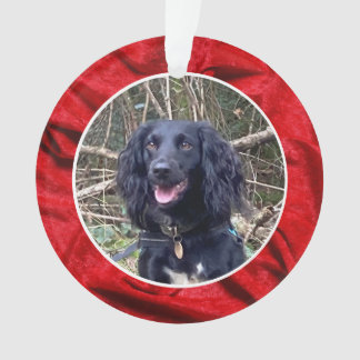 Ornamento Red Velvet Pet Photo Christmas