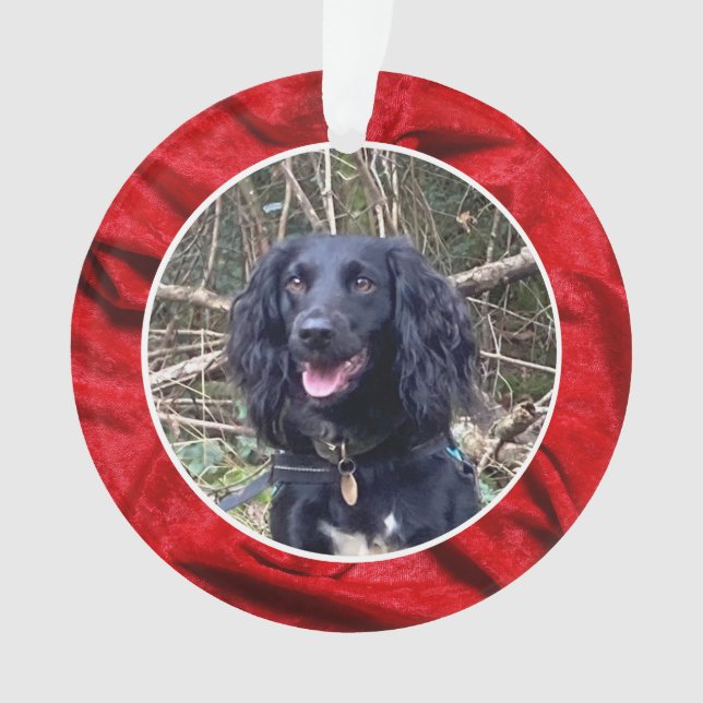 Ornamento Red Velvet Pet Photo Christmas (Frente)