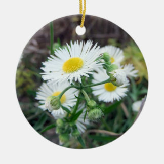 Ornamento redondo da foto 2-Sided de Fleabane da
