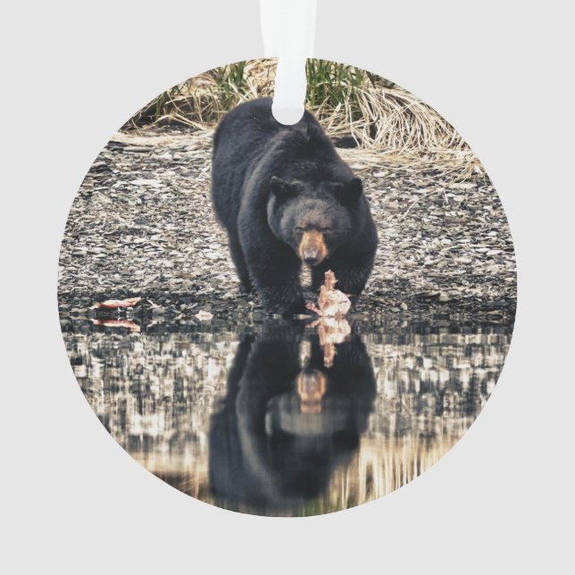 Ornamento Reflexões do Urso Negro (Verso)