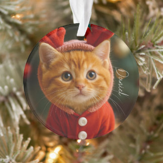 Ornamento Reindeer Kitten