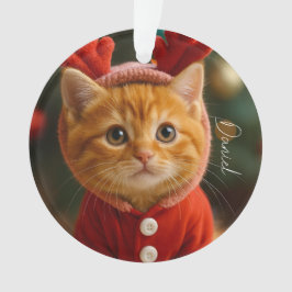 Ornamento Reindeer Kitten