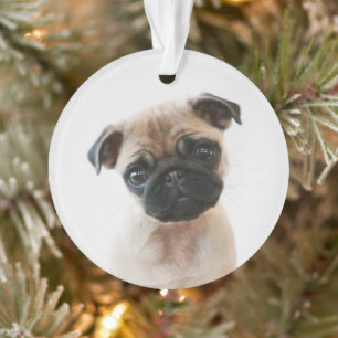 Ornamento Retrato de Baby Pug
