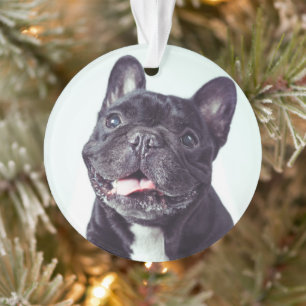 Ornamento Retrato de um Bulldog Francês Feliz