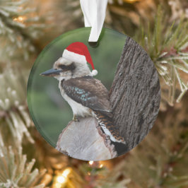Ornamento Rindo Kookaburra Pássaro Natal Red Santa Hat
