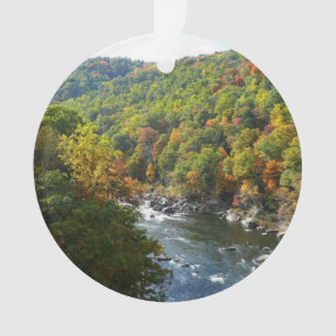 Ornamento Rio Ohiopyle no Outono II Pensilvânia Outono