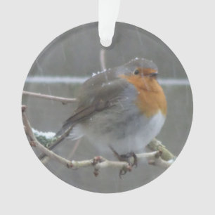 Ornamento Robin na Neve