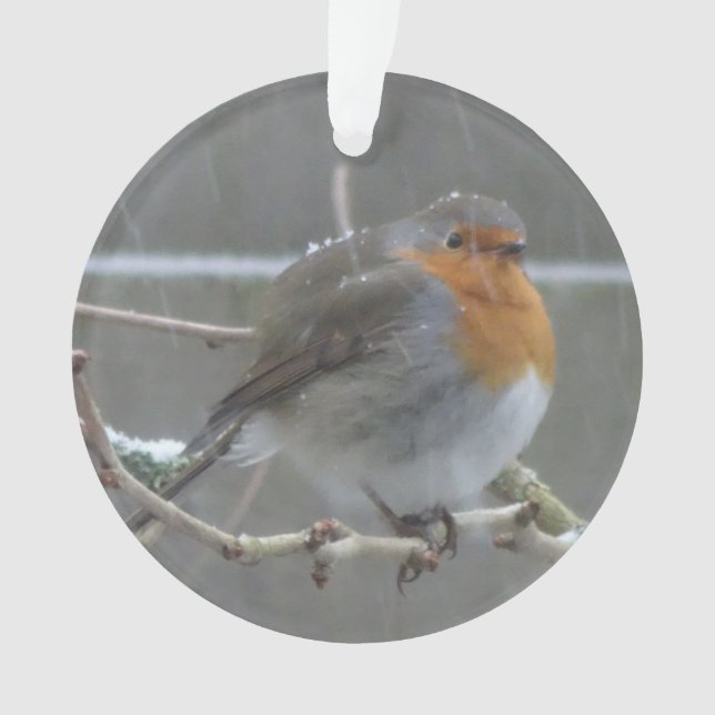 Ornamento Robin na Neve Ornament (Frente)