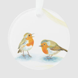 Ornamento Robins vermelhos no inverno