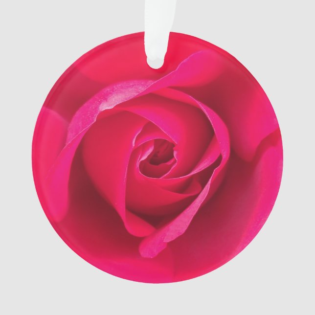 Ornamento Romântico Rosa Vermelho Rosa v2 (Frente)