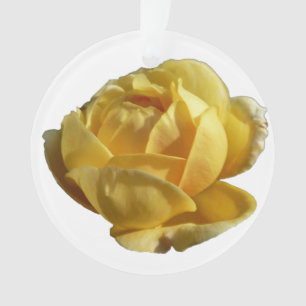 Ornamento Rosa amarelo