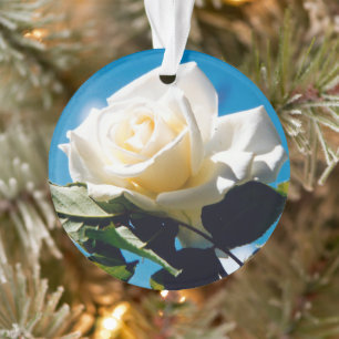Ornamento Rosa Branca de Natal - Celebrar a Vida