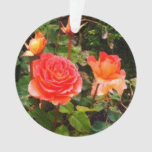 Ornamento Rosa de Banda de de de de latão nº 1