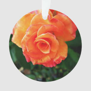 Ornamento Rosa laranja
