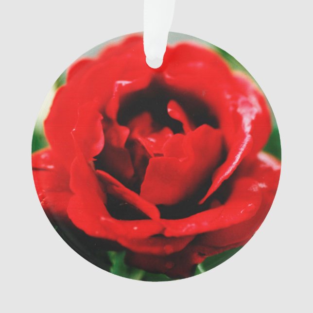 Ornamento Rosa vermelha Love (Frente)