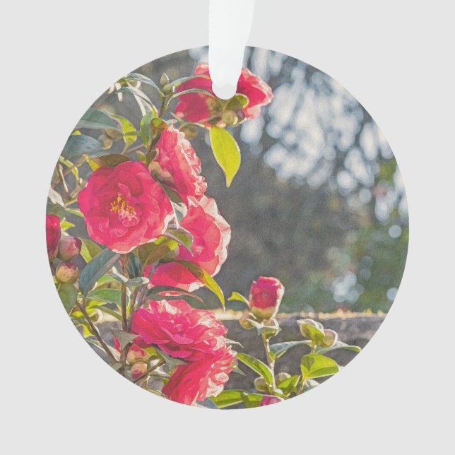 Ornamento Rosas  (Frente)