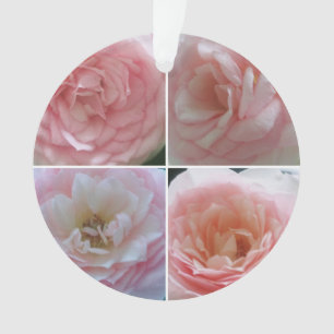 Ornamento Rosas bonito