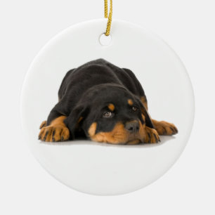 Ornamento Rottweiler
