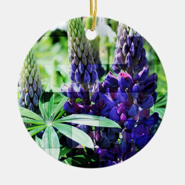 Ornamento roxo da flor do trio do Lupine (Frente)