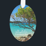 Ornamento Rua, John Cinnamon Bay Beach Oval Ornament<br><div class="desc">Linda Rua, Ilha John, ornamento oval de Cinnamon Bay Beach! Este adorável ornamento tropical de dois lados apresenta uma vista espantosa de Ruas. A popular praia Cinnamon Bay de John USVI! Este ornamento vem em diferentes formas também! É uma maravilhosa adição à sua coleção de ornamentos, e um presente de...</div>