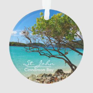 Ornamento Rua. John Cinnamon Bay Beach Round Ornament