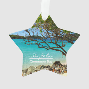 Ornamento Rua. John Cinnamon Bay Beach Round Ornament