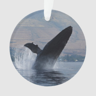 Ornamento ruptura da baleia de humpback