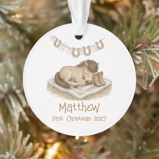 Ornamento Rustic Baby's First Christmas Keepsake (Árvore)