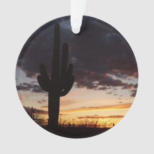 Ornamento Saguaro Sunset III Arizona Desert Landscape