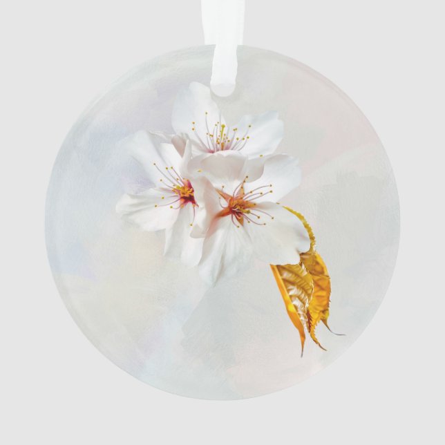 Ornamento Sakura - cereja japonesa floresce (Verso)