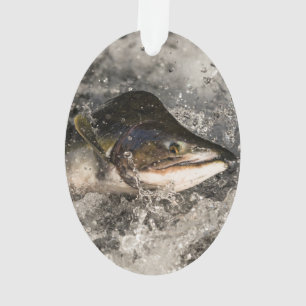 Ornamento Salmão de Salmão