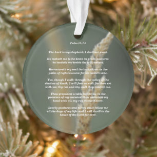 Ornamento Salmos 23: 1-6