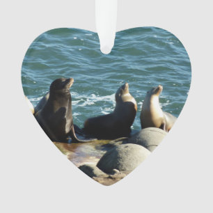 Ornamento San Diego Sea Lions