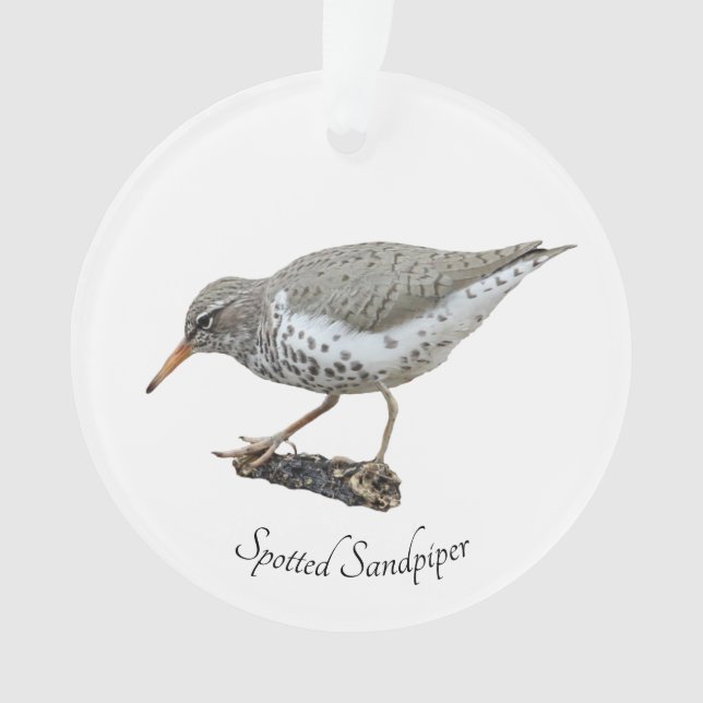 Ornamento Sandpiper (Frente)