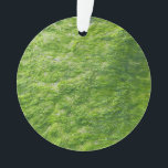 Ornamento Sea Moss Green Nature Grass Beach NIMO<br><div class="desc">Projetado com legal fotografia de praia de musgo marinho!</div>