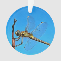 Ornamento Segurem-Se Os Dragões Artísticos Contra O Azul Cer