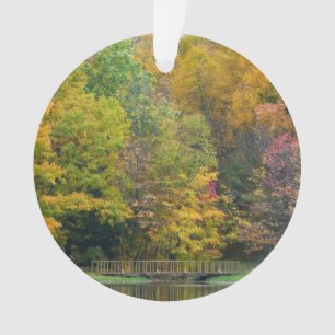 Ornamento Sete Primaveras Call Bridge II Autumn Landscape