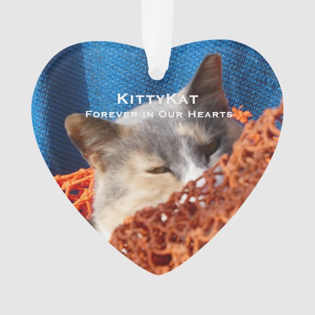 Ornamento Seu gato de estimação ou foto de cão personalizada (Frente)