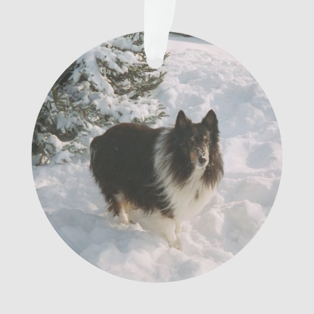 Ornamento Sheltie e Rouco Fun in the Snow (Frente)
