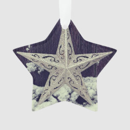 Ornamento Silvery Star Holiday Ornament