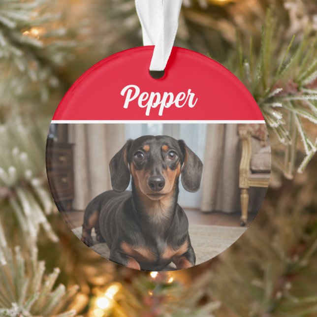 Ornamento Smooth Dachshund with Name and Photo Christmas (Árvore)